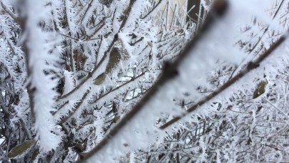 Mróz nie ustępuje. Dwie osoby zmarły z wychłodzenia