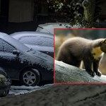 Mróz oznacza nowe zagrożenie dla zaparkowanych aut. Lepiej mu zapobiec