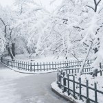 Mróz robi coś ważnego. Narzekamy, ale potrzeba niskich temperatur