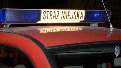 Mróz trzyma. Strażnicy miejscy pomagają uruchamiać auta
