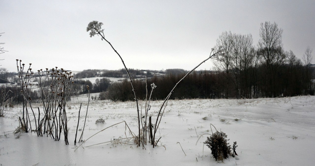 Mróz w Polsce /Wojciech Zatwarnicki /Reporter