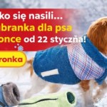 pies Mróz wraca, a Biedronka reaguje! Nowa oferta ubranek dla psów