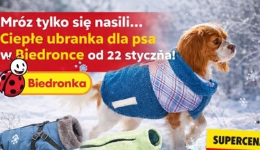 Mróz wraca, a Biedronka reaguje! Nowa oferta ubranek dla psów