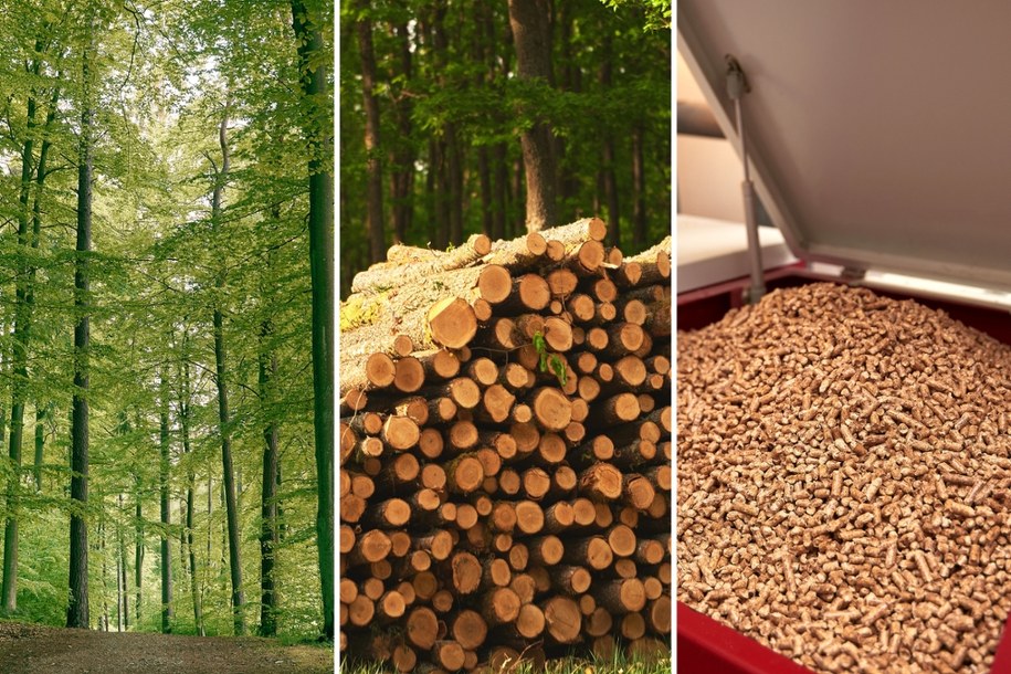 Mroźna zima, puste magazyny i drożyzna. Dlaczego braknie pelletu w Polsce? /Shutterstock