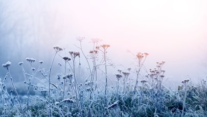 Mroźne noce i poranki. Antycyklon sięgnie Polski
