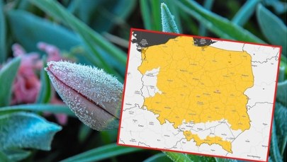 Mroźny atak na Polskę. Złe wieści od synoptyków 