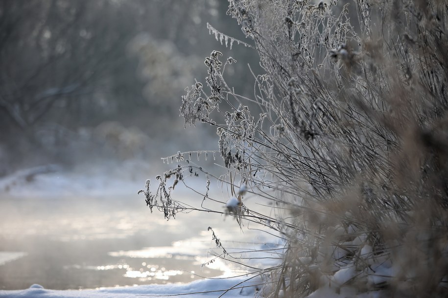 Mroźny poranek nad rzeką Świder w Otwocku, 18 stycznia / 	Leszek Szymański    /PAP