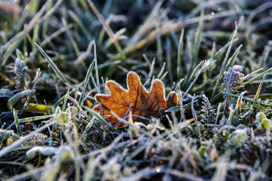 Mroźny poranek w Przemyślu /Darek Delmanowicz /PAP
