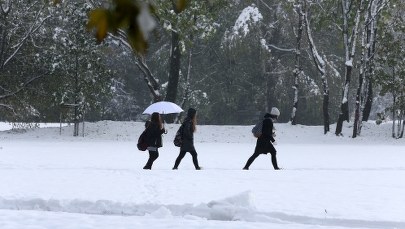 Mrozy nie ustępują. W Małopolsce najwyższy stopień zagrożenia