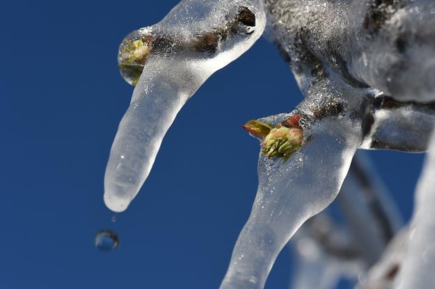 Mrozy na południu Europy podbiły ceny warzyw Biznes w INTERIA.PL