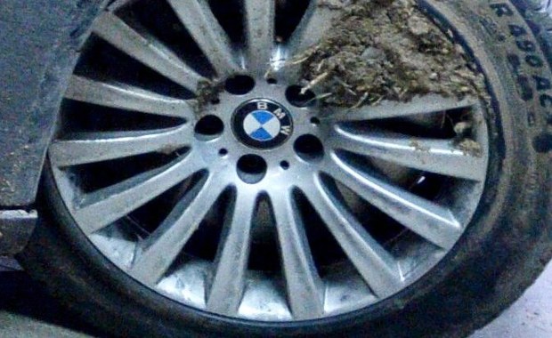 MSWiA: W prezydenckiej limuzynie pękła opona tylna, a wymieniano przednią. BOR działał prawidłowo