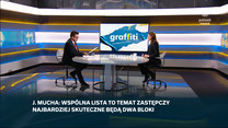 Mucha w "Graffiti": Marzę o zmianie pokoleniowej w naszej polityce