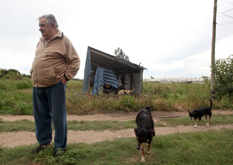 Mujica w towarzystwie swoich ukochanych zwierzaków /AFP