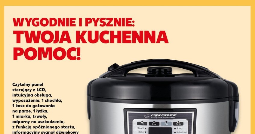 Multicooker Esperanza za 119,90 zł w Kauflandzie! /Kaufland /INTERIA.PL