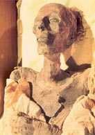 Mumia Ramzesa II /Encyklopedia Internautica