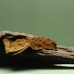 Syberia Mumia ujawniła tajemnice tatuaży sprzed 2300 lat