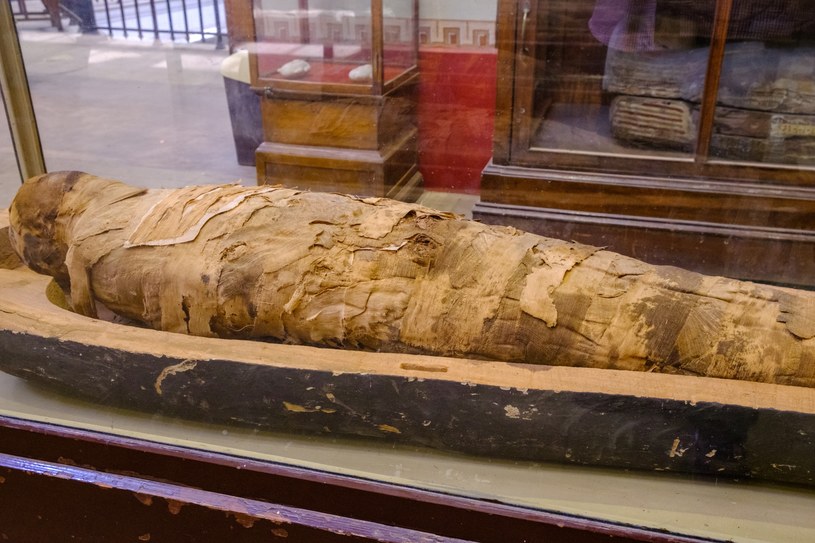 Mumia w muzeum w Kairze /Mirko Kuzmanovic /123RF/PICSEL