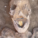 Mumia ze złotym językiem. Niesamowite odkrycie w Egipcie