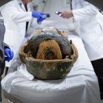 starożytny Egipt Mumie "przyjęte" do szpitala w Los Angeles. Tomograf w służbie historii