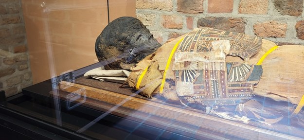 Mumie w poznańskim Muzeum Archeologicznym /Beniamin Piłat /RMF FM
