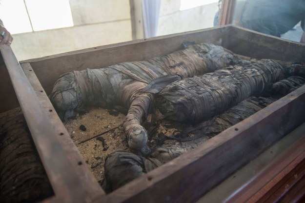 Mumie w skrzyniach /MOHAMED HOSSAM /PAP/EPA