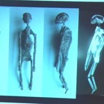 Mumie z Nazca nie pochodzą z Ziemi?