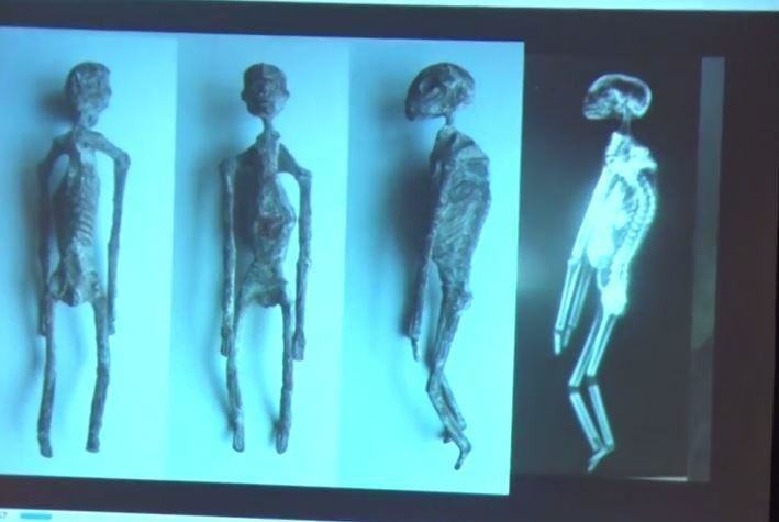 Mumie z Nazca /materiały prasowe