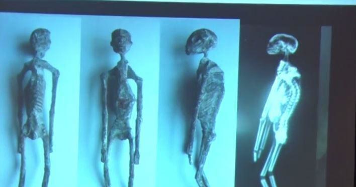 Mumie z Nazca /materiały prasowe