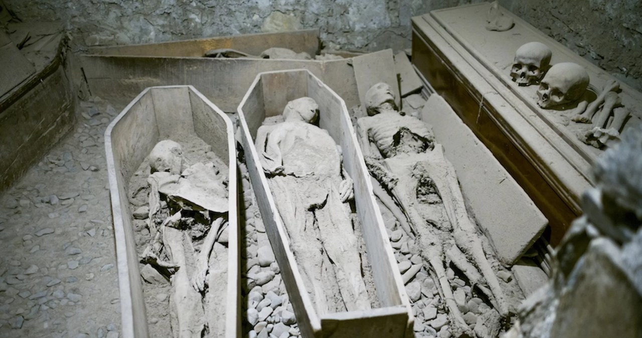 Mumie z St. Michan's Church /materiały prasowe