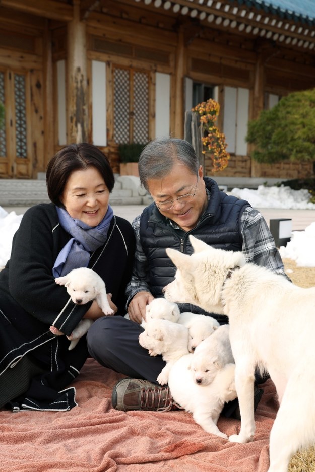 Mun i jego żona siedzą na trawniku pałacu prezydenckiego w Seulu w towarzystwie zgrai biało-kremowych czworonogów /CHEONG WA DAE PRESS /PAP/EPA