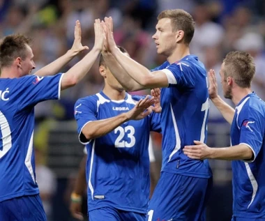 Mundial 2014: Bośnia i Hercegowina