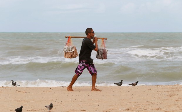 ​Mundial 2014: Rekiny atakują w Recife. Władze ostrzegają kibiców