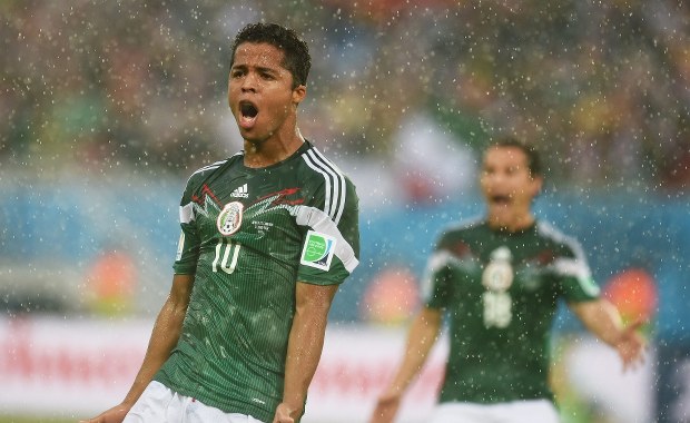 Mundial 2014: "Zabrał" Meksykowi dwa gole, FIFA go odsunęła  