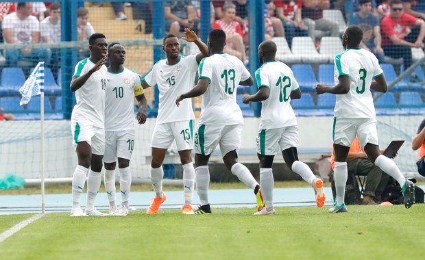 Mundial 2018. Senegal pokonał Koreę Południową 2:0 w towarzyskim meczu