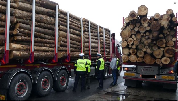 Mundurowali kontrolowali ciężarówki przewożące drewno /Policja Opolska /Policja