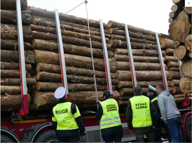 Mundurowali kontrolowali ciężarówki przewożące drewno /Opolska Policja /Policja