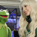 "Muppety": Lady Gaga stoi poza prawem?