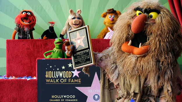 Muppety ze swoją własną gwiazdą / fot. Frazer Harrison /Getty Images/Flash Press Media