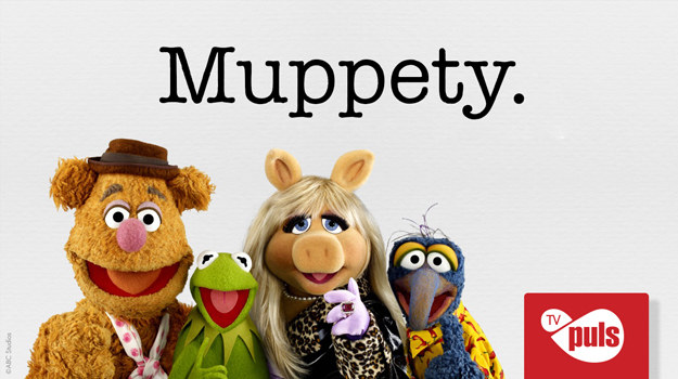 "Muppety" /TV PULS /materiały prasowe