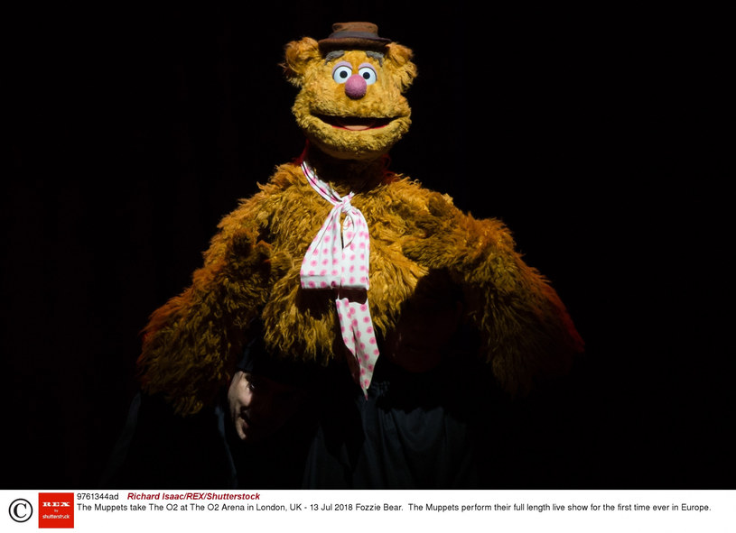 "Muppety" /Richard Isaac/REX/Shutterstock /East News