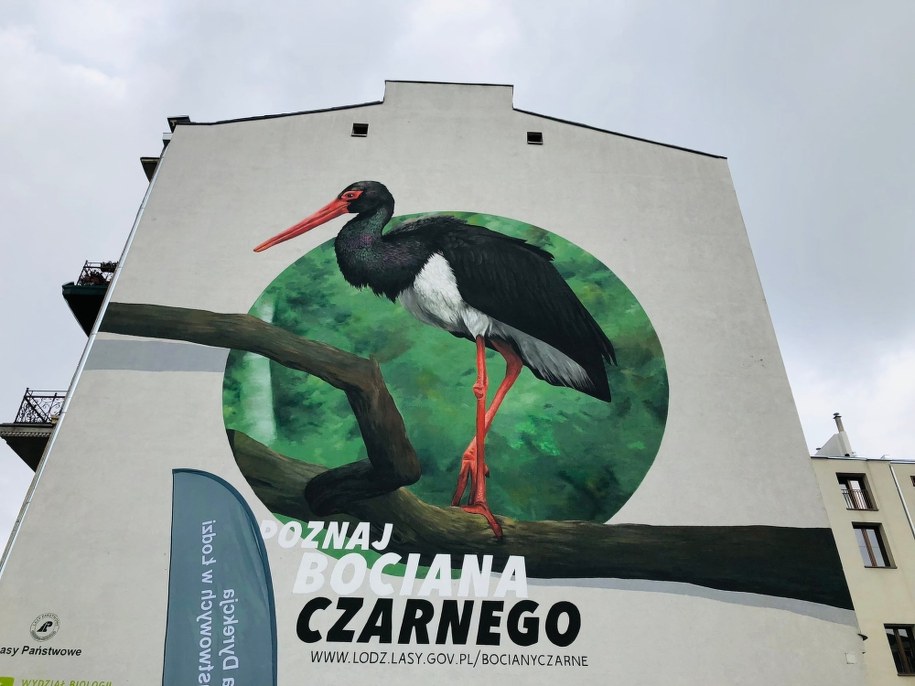 Mural przedstawiający bociana czarnego /Agnieszka  Wyderka /RMF FM
