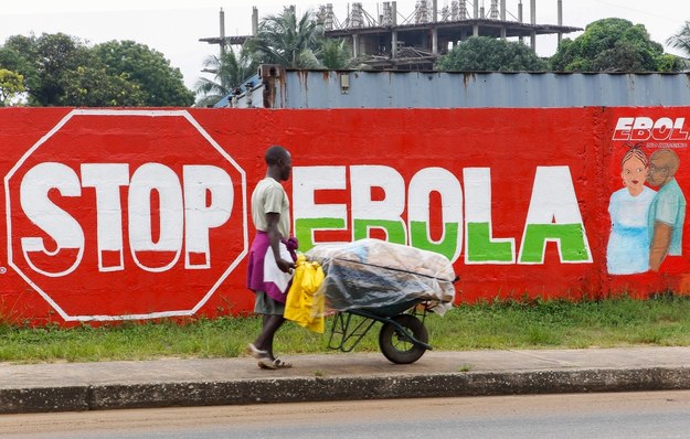 Mural z hasłem "Stop Ebola" w Monrovii, stolicy Liberii /AHMED JALLANZO  /PAP/EPA