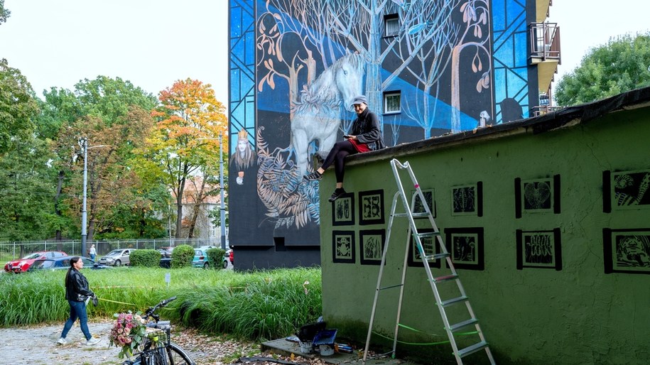 Mural z  postacią Łyska z pokładu Idy, bohatera opowiadania Gustawa Morcinka w Katowicach /Andrzej  Grygiel /PAP