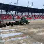 Murawa na stadionie w Sosnowcu znów się zazieleni