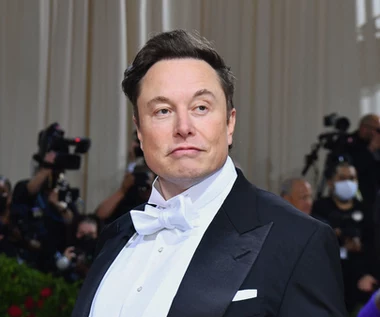 Musk: Przez kilka miesięcy pokieruje Twitterem 