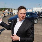 Musk tweetuje o polskiej firmie CD Projekt. Akcje w górę o 6 mld złotych