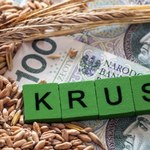 Muszą za to przeżyć miesiąc. Tyle emerytury KRUS wysyła rolnikom