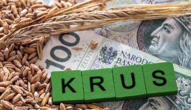 Muszą za to przeżyć miesiąc. Tyle emerytury KRUS wysyła rolnikom