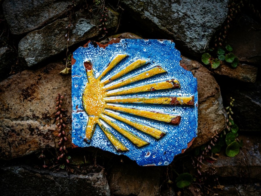 Muszla świętego Jakuba - jeden z symboli drogi pielgrzymkowej do Santiago de Compostela /Romy Arroyo Fernandez/NurPhoto via AFP /East News