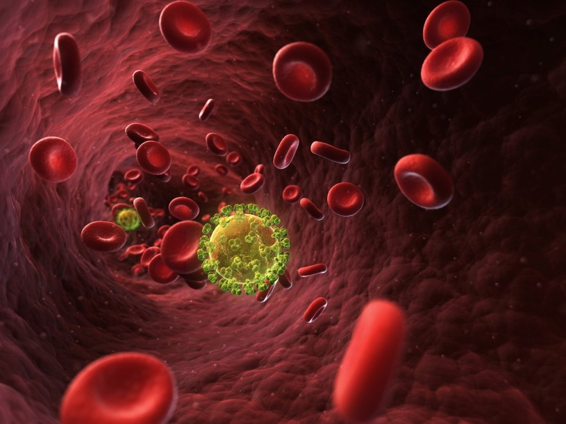 Mutacja genu CCR5 i nowe komórki układu odpornościowego powodują "blokowanie" wirusa HIV /123RF/PICSEL